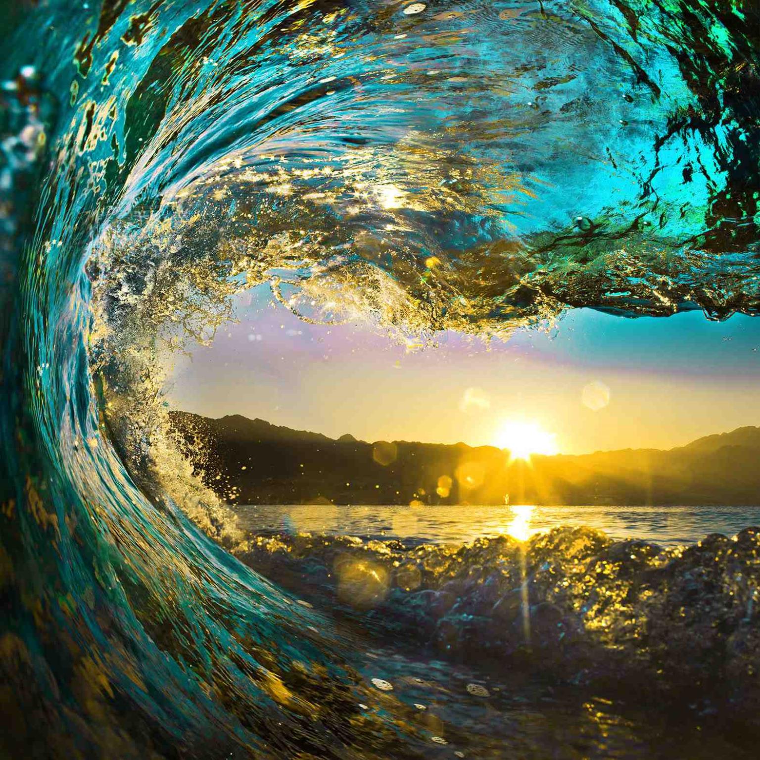 Catching the Sun  Wall Art | SF1342