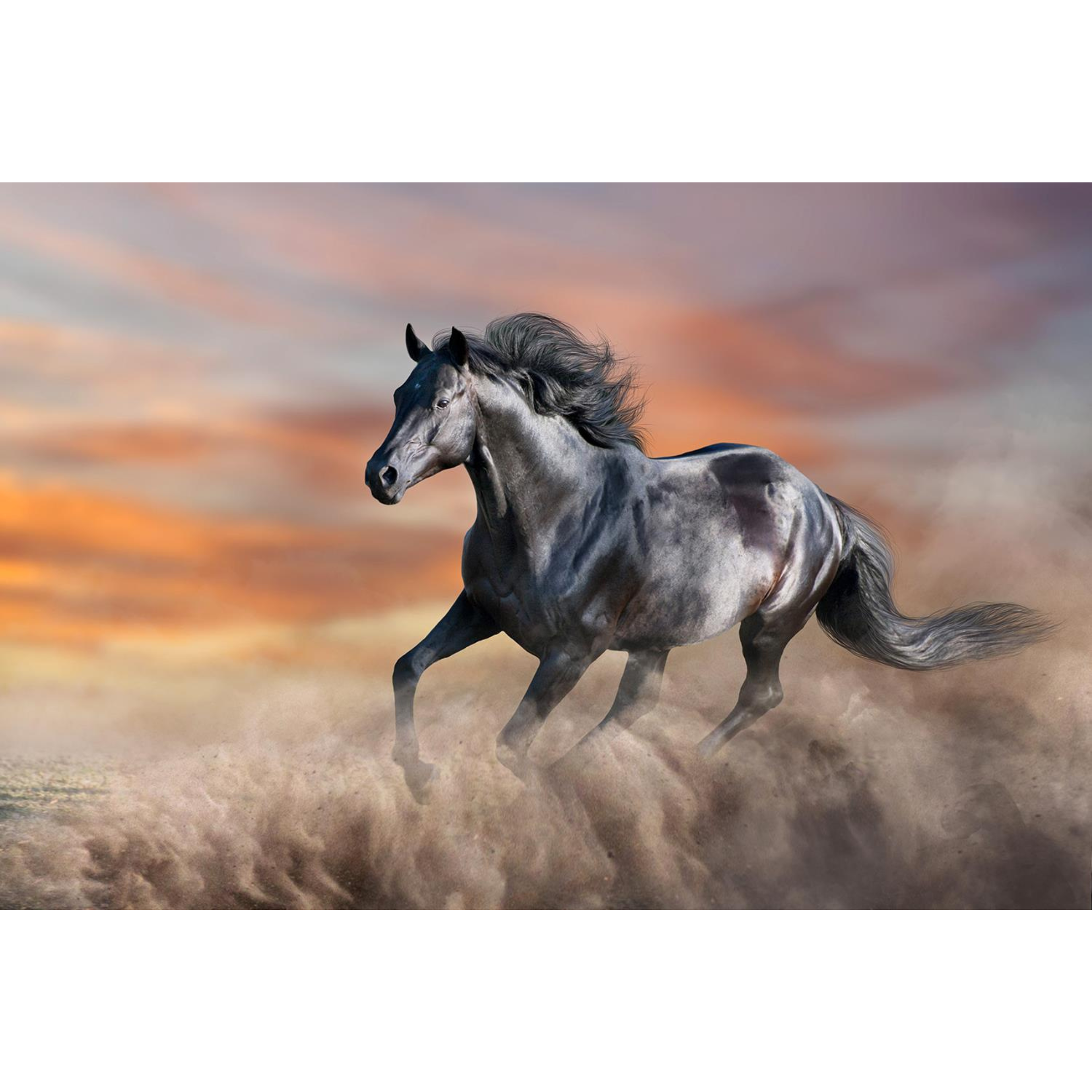 Running Horse Wall Art | SF1626